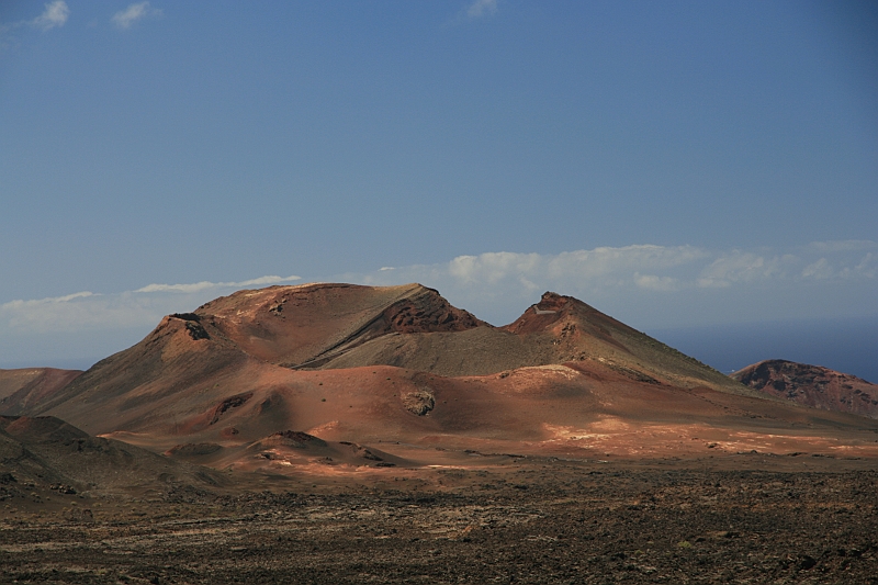 Kanary_2010 167